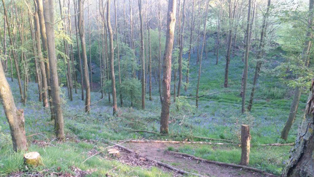Low Nook Farm Holiday Cottage Brampton  Luaran gambar